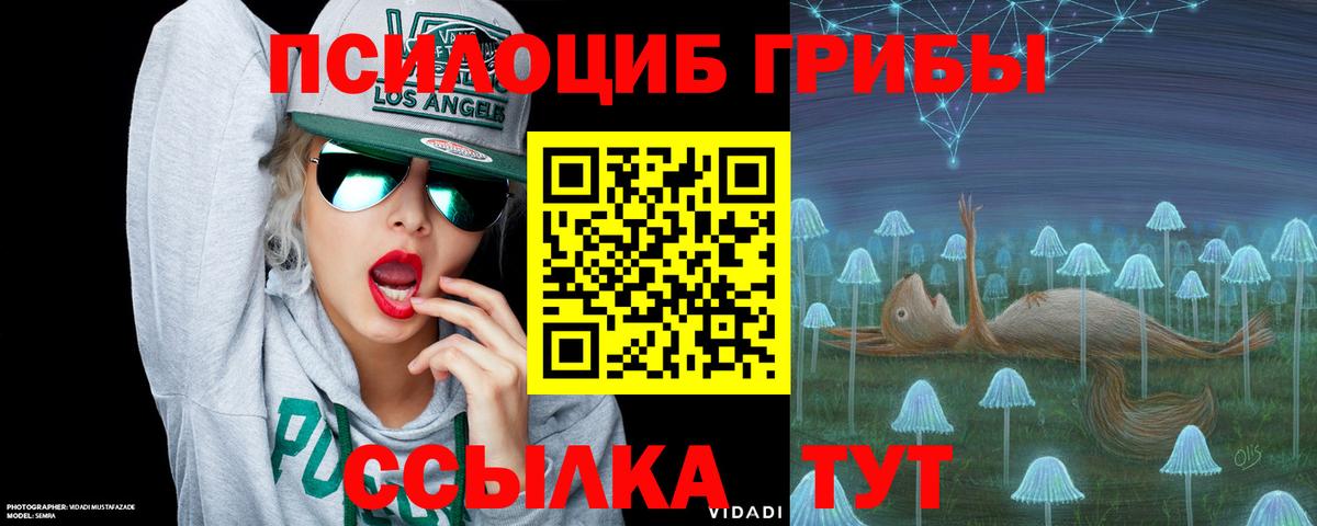 Галлюциногенные грибы Psilocybe  Псилоцибиновые грибы MAGIC MUSHROOMS  Ачхой-Мартан  хочу   Вход с VPN 